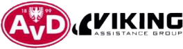 VİKİNG ASİST